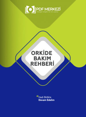 Orkide Bakım Rehberi